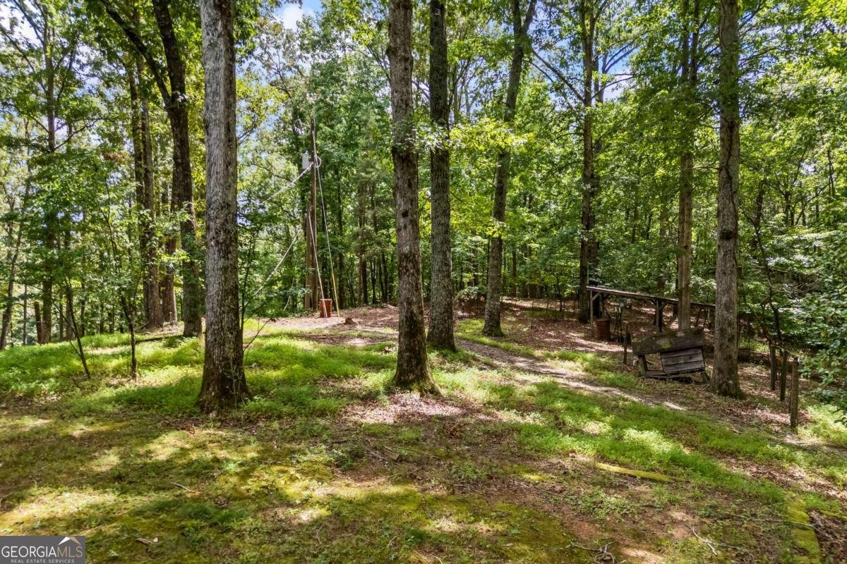 1542 Lumpkin County Parkway Dahlonega - Photo 40
