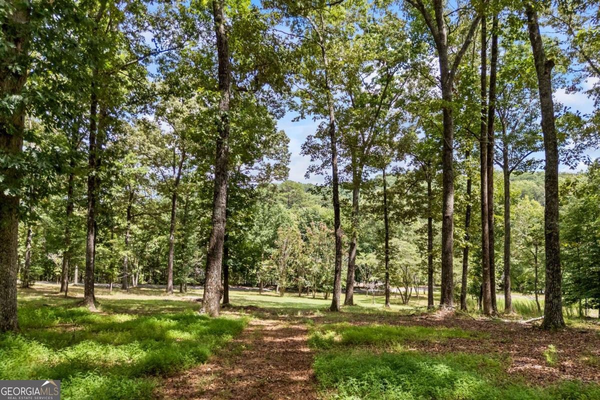 1542 Lumpkin County Parkway Dahlonega - Photo 41