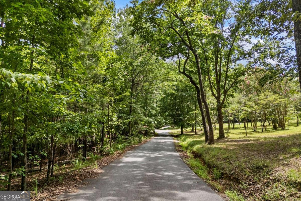 1542 Lumpkin County Parkway Dahlonega - Photo 42