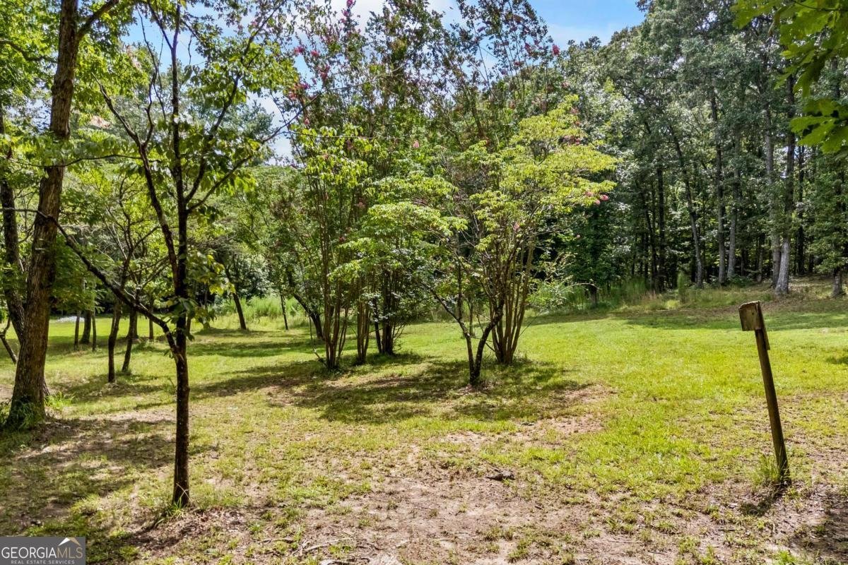 1542 Lumpkin County Parkway Dahlonega - Photo 43