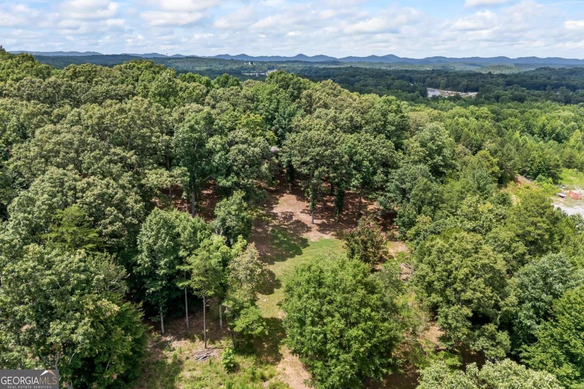 1542 Lumpkin County Parkway Dahlonega - Photo 44