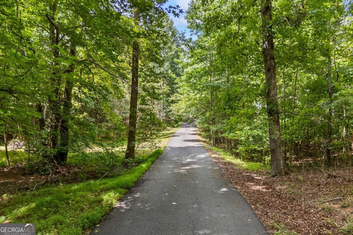 1542 Lumpkin County Parkway Dahlonega - Photo 47