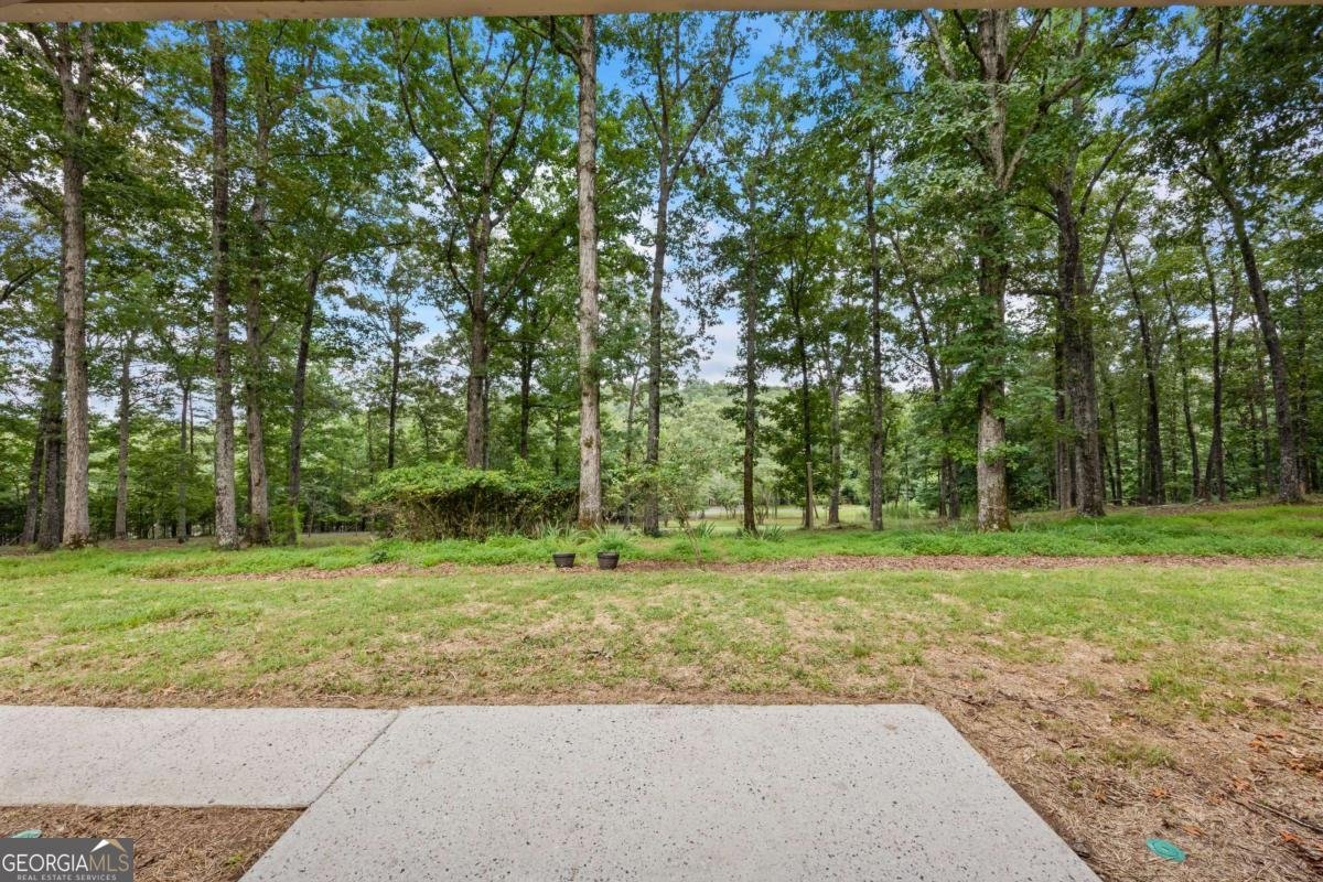1542 Lumpkin County Parkway Dahlonega - Photo 48