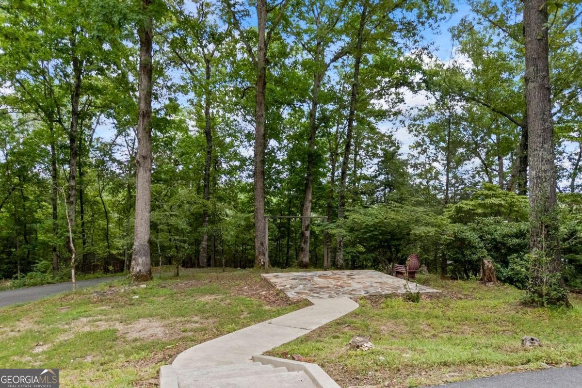 1542 Lumpkin County Parkway Dahlonega - Photo 54