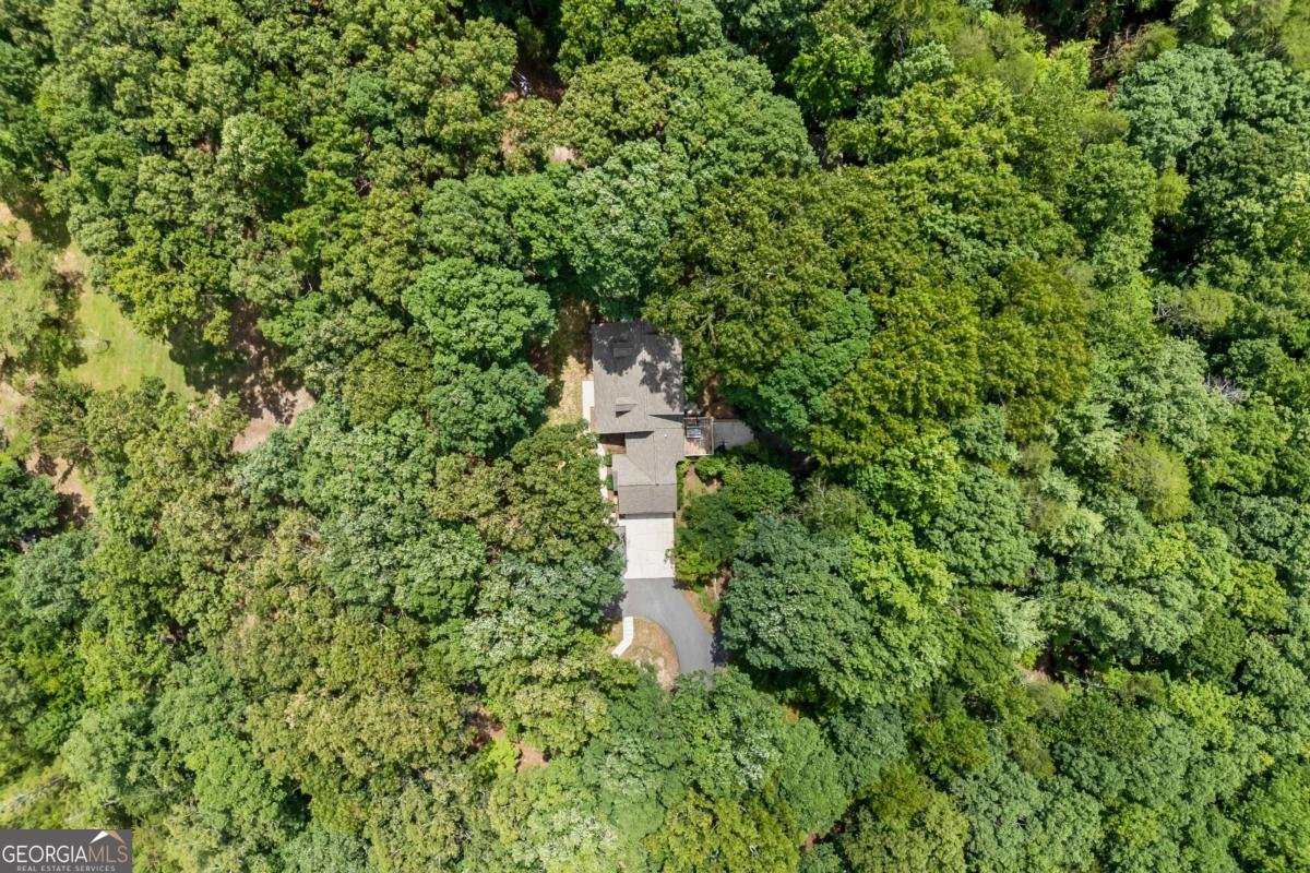 1542 Lumpkin County Parkway Dahlonega - Photo 55