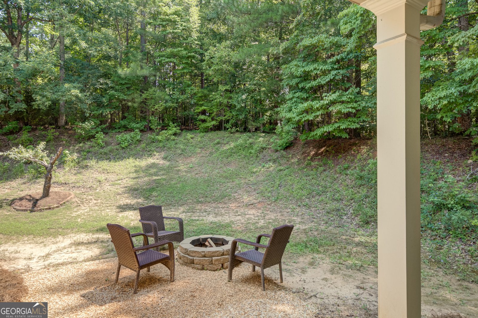 5 Renwick Drive Senoia - Photo 45