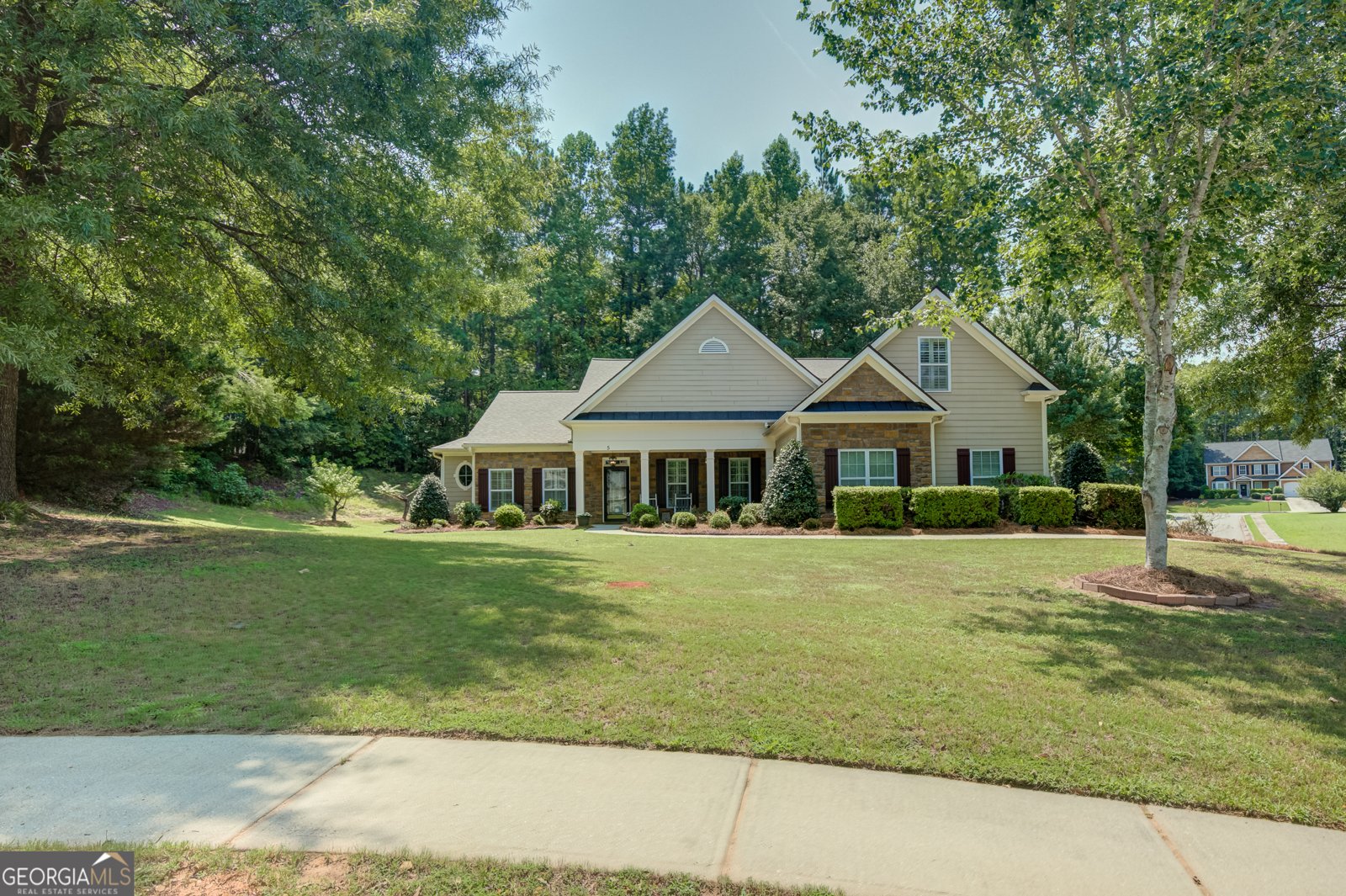 5 Renwick Drive Senoia - Photo 50