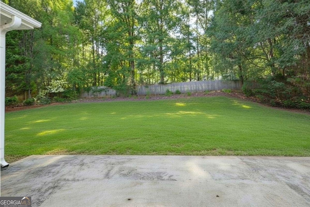 4394 Mill Water Crossing Douglasville - Photo 27