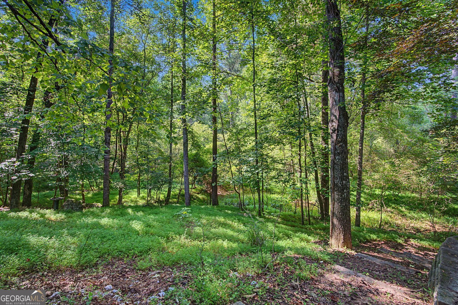 1458 Sweet Bottom Circle Marietta - Photo 104