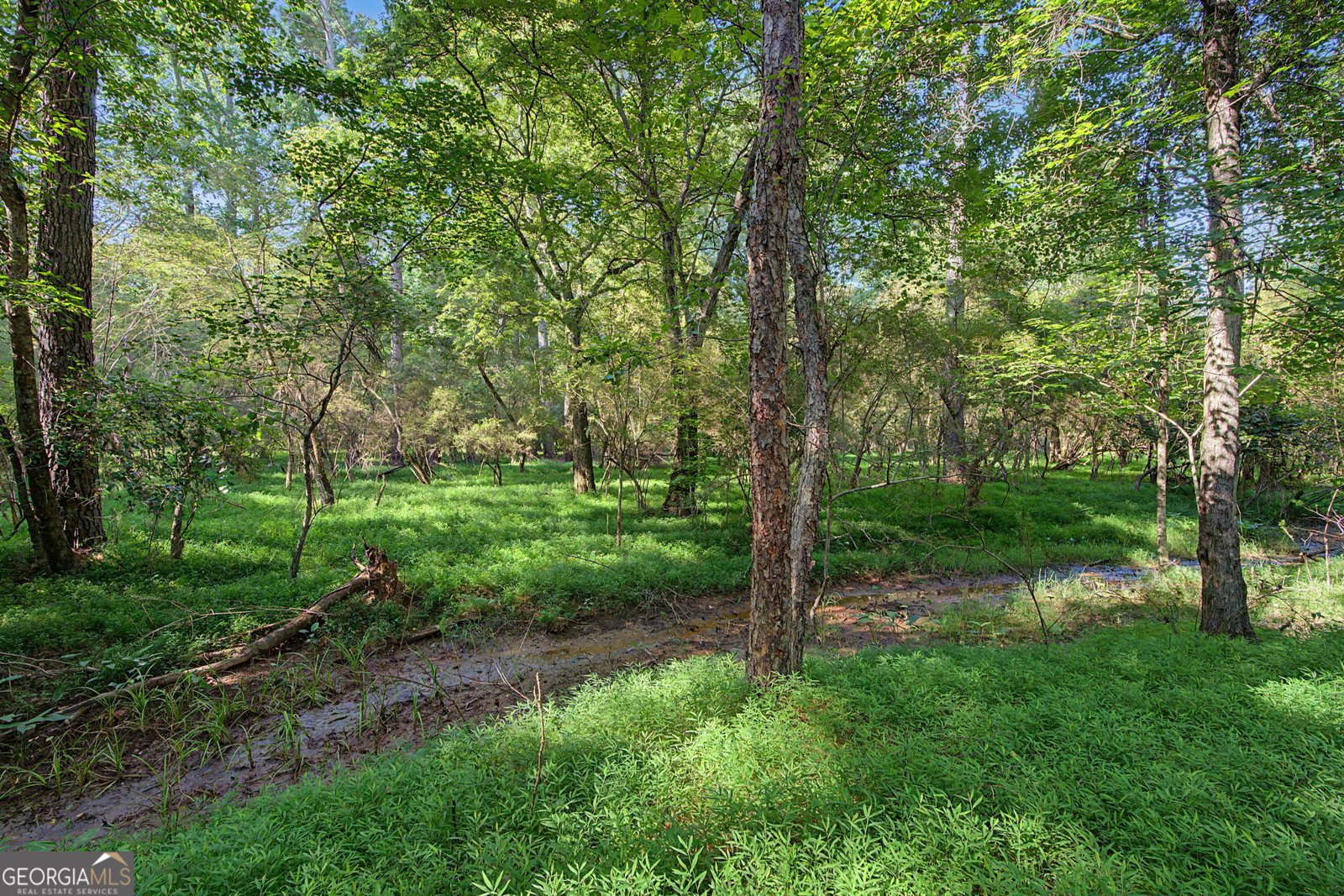 1458 Sweet Bottom Circle Marietta - Photo 107