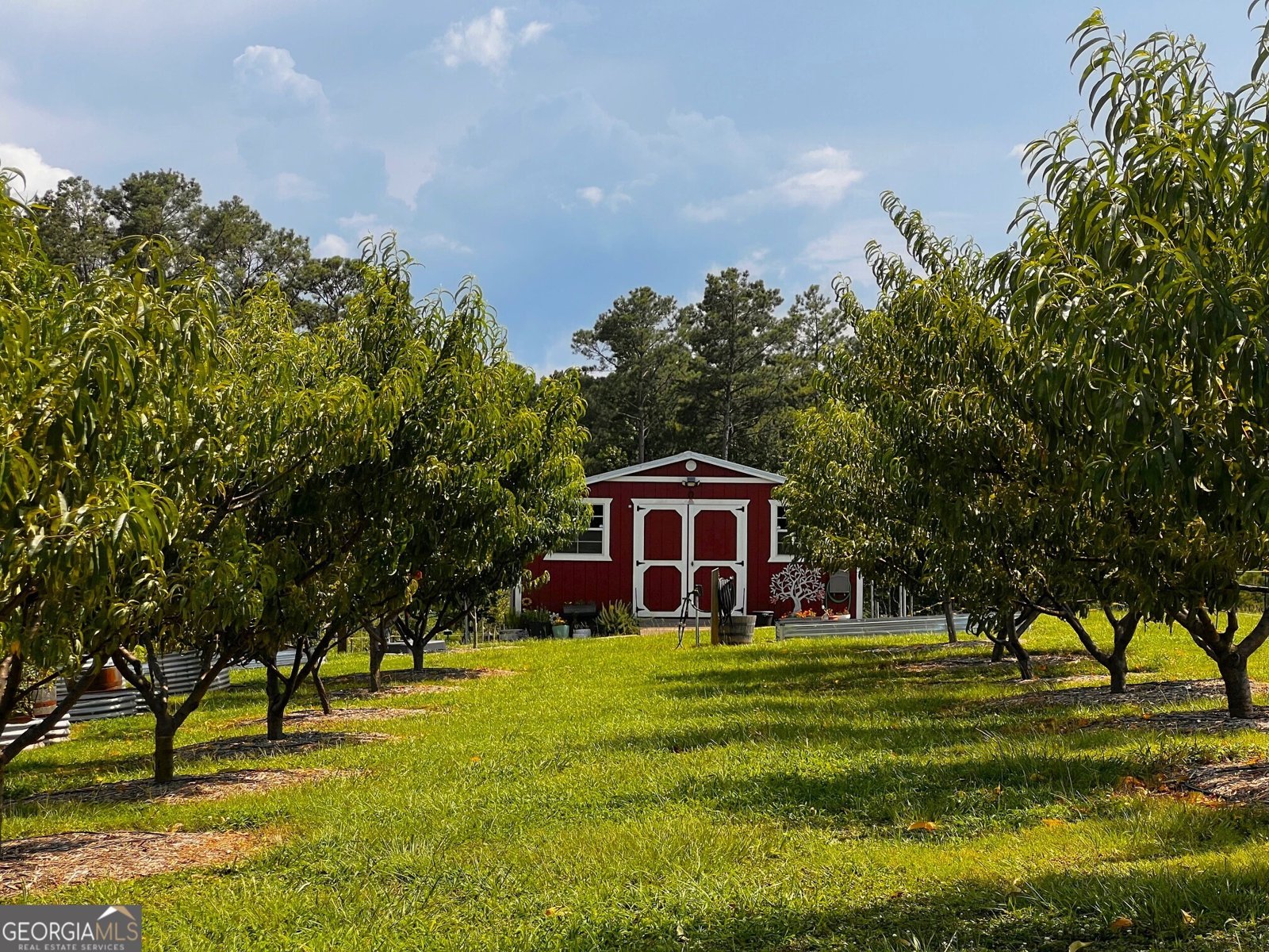 3439 Jeff Davis Road Thomaston - Photo 34