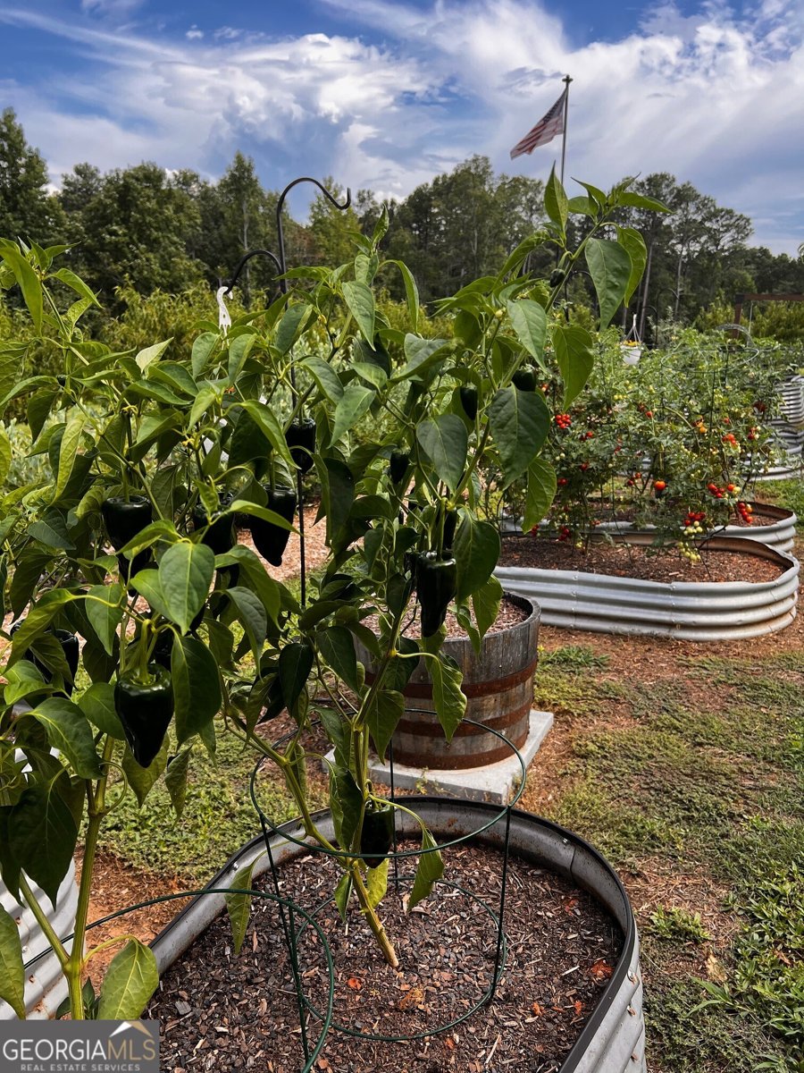3439 Jeff Davis Road Thomaston - Photo 42