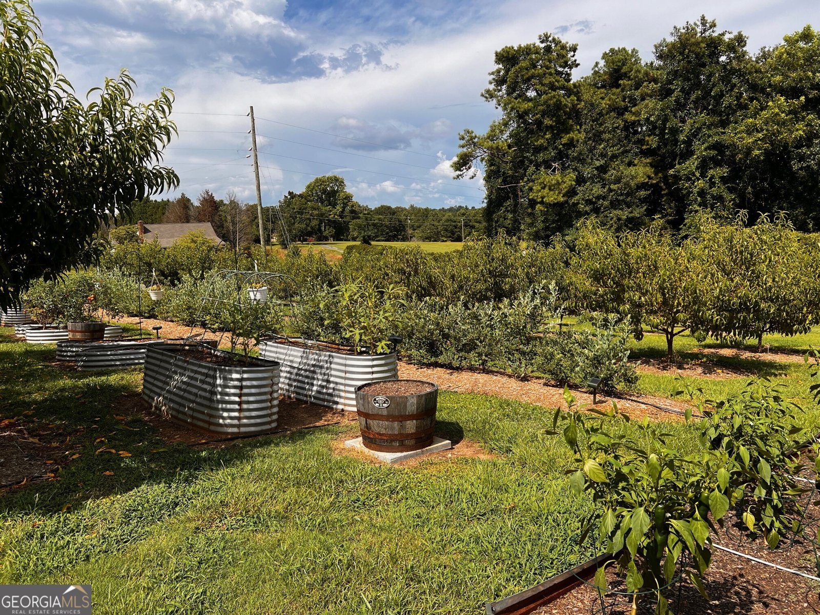 3439 Jeff Davis Road Thomaston - Photo 44