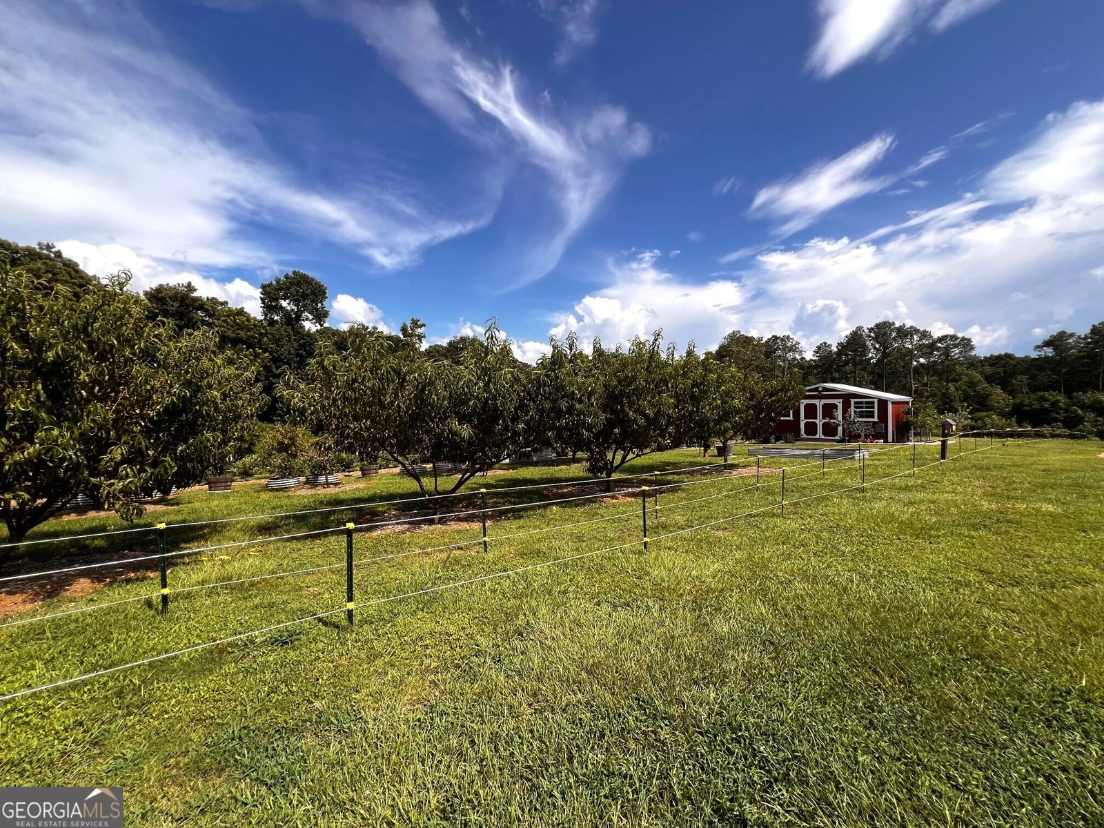 3439 Jeff Davis Road Thomaston - Photo 46
