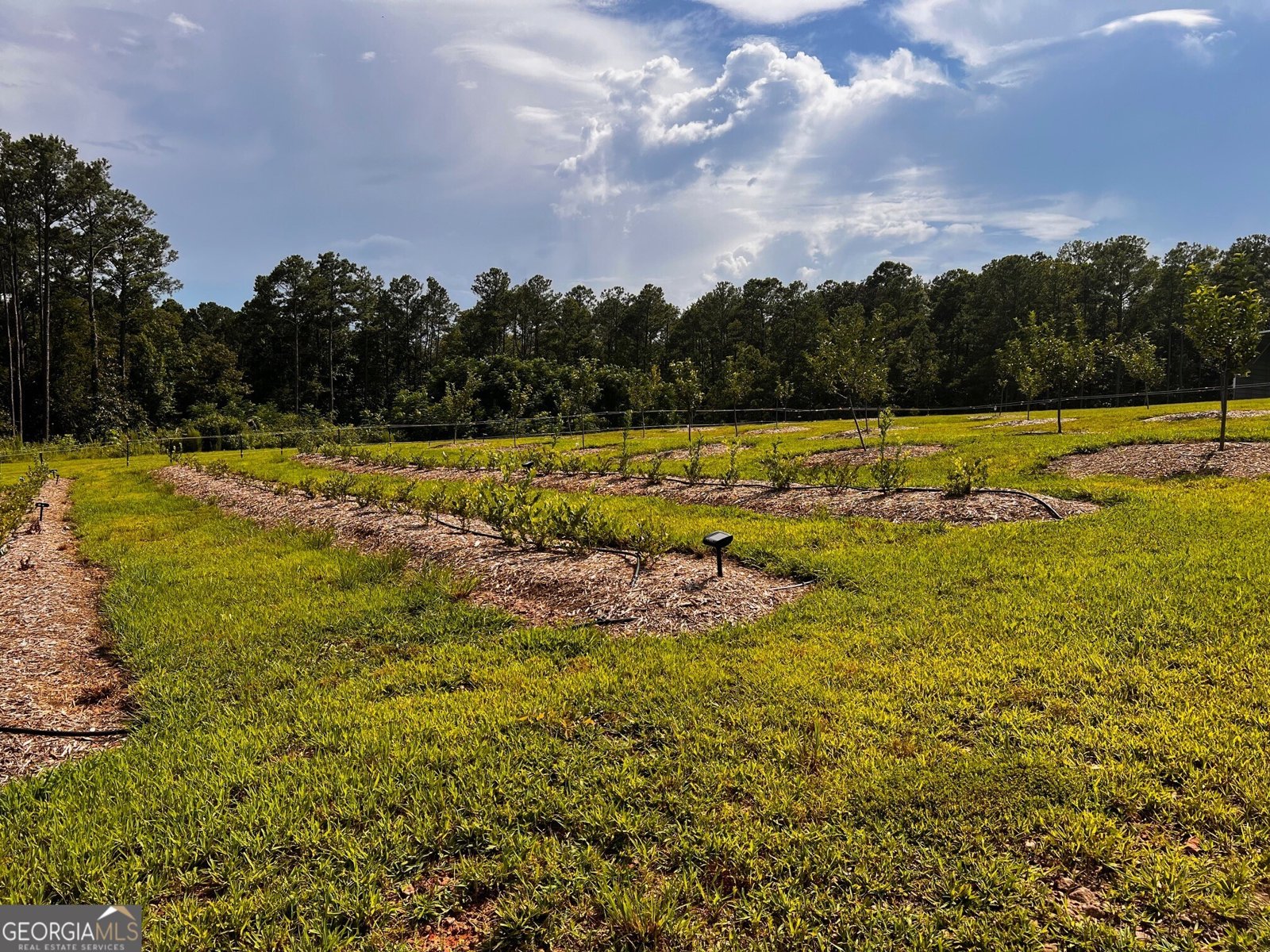 3439 Jeff Davis Road Thomaston - Photo 47