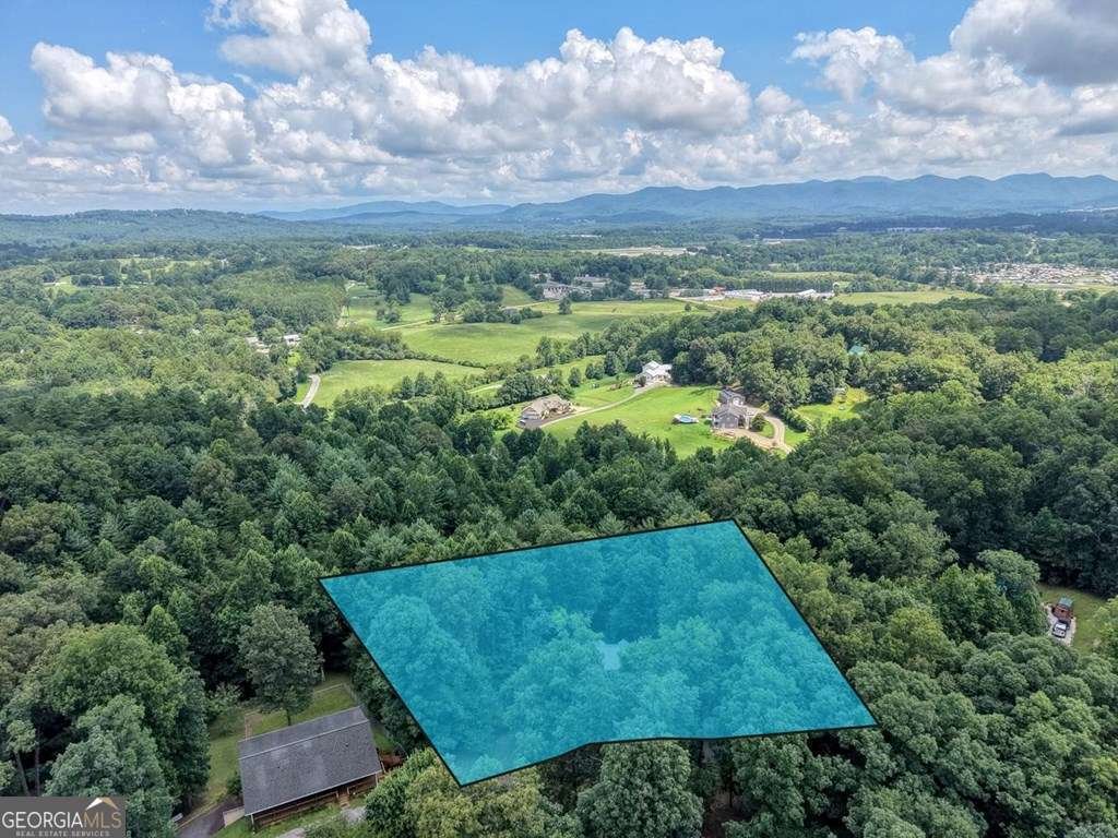 96 Taylors Court Blairsville - Photo 25