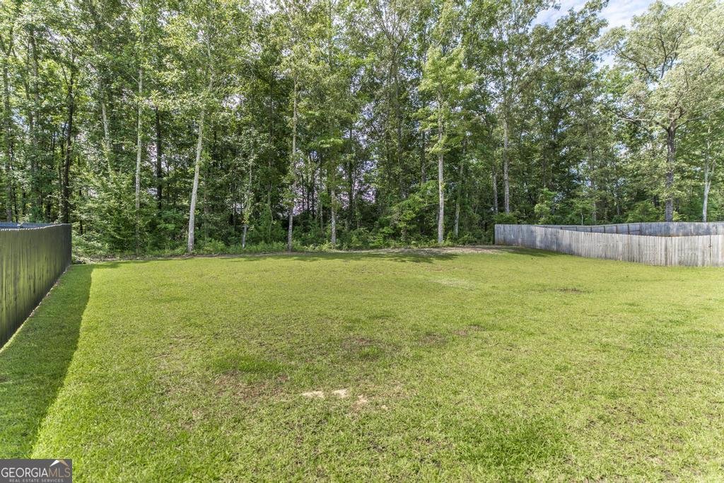 306 Rustic Live Oak Trail Bonaire - Photo 34