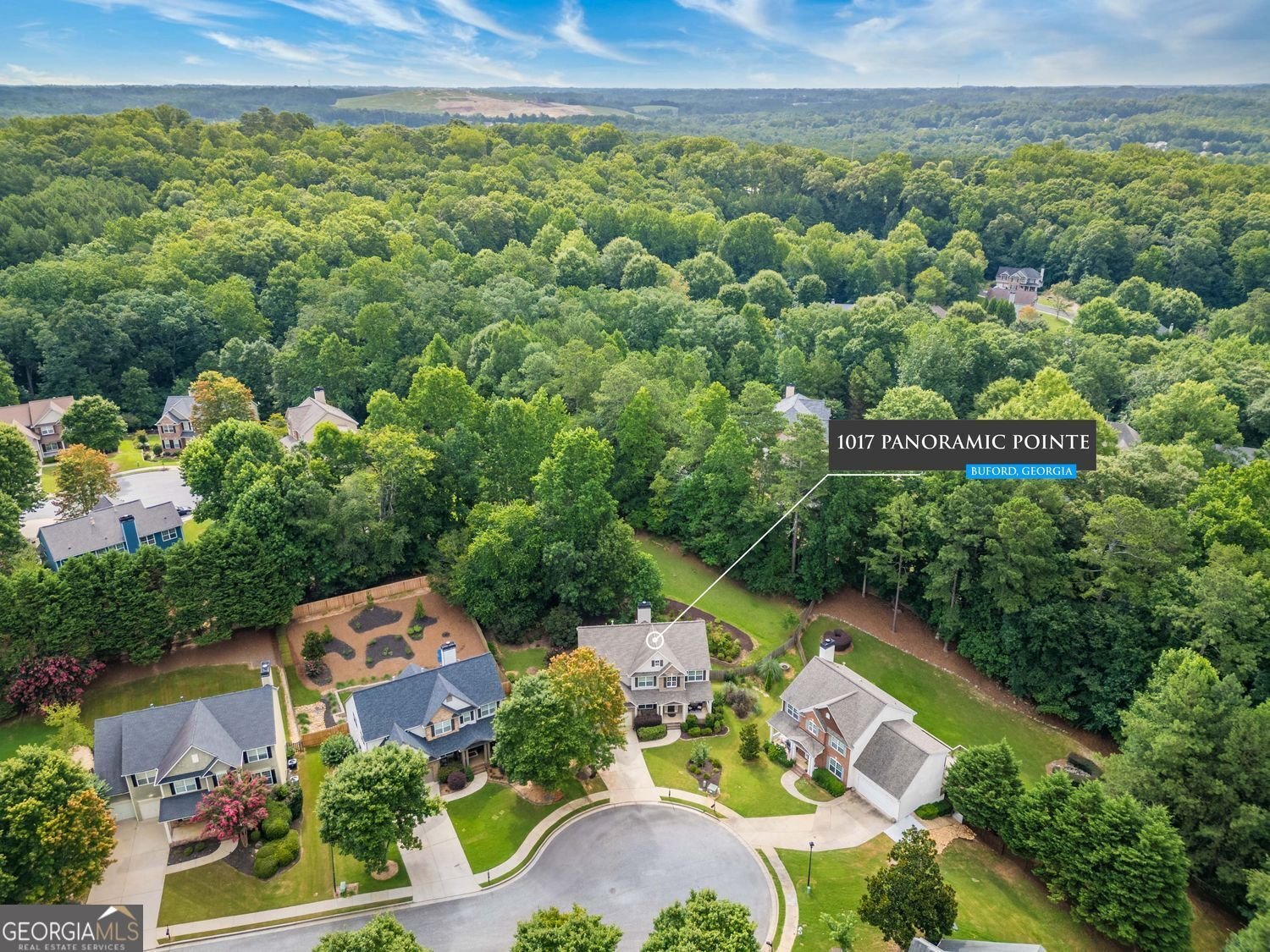 1017 Panoramic Pointe Buford - Photo 67