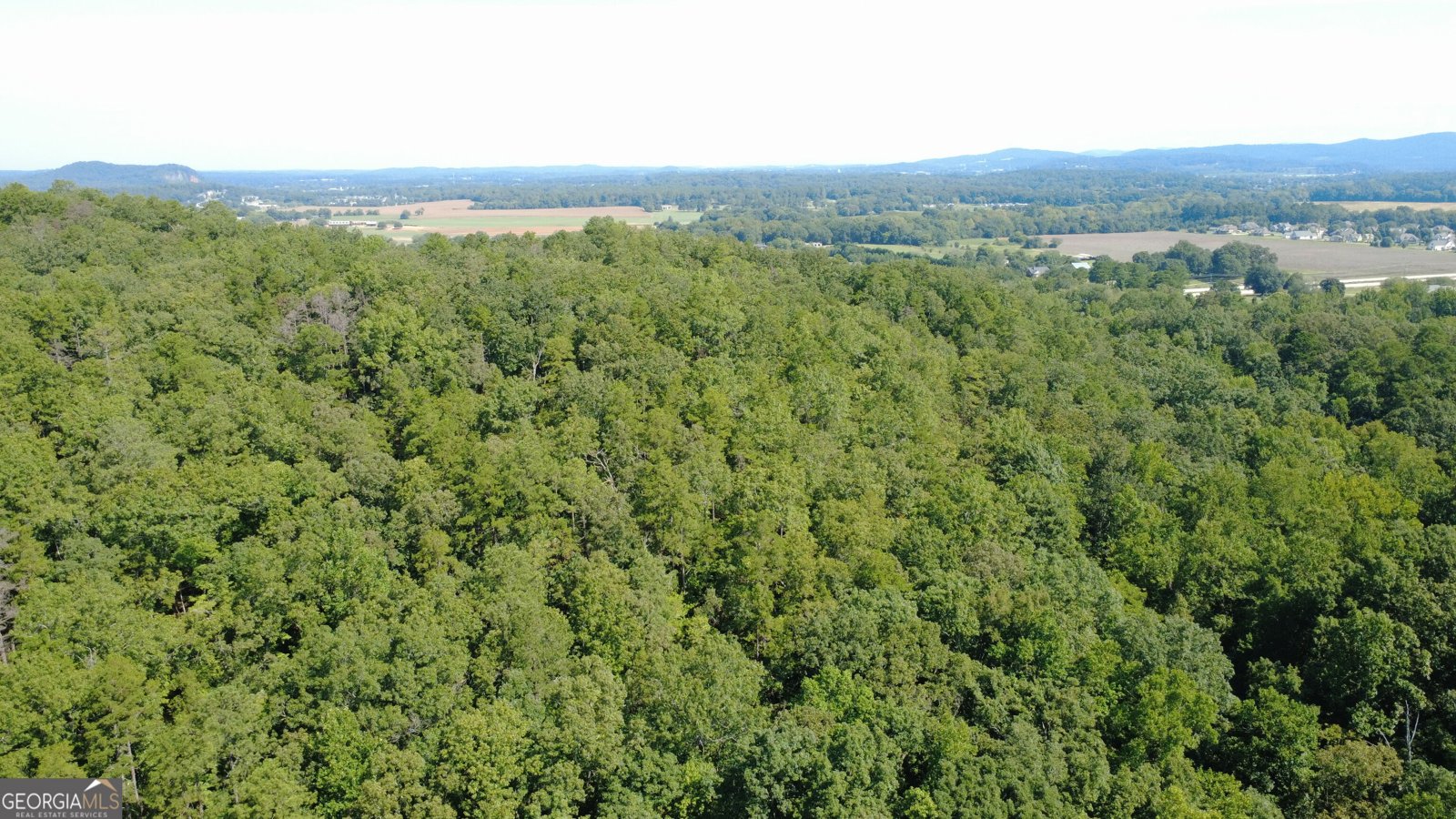 34 Bridgestone Way Cartersville - Photo 36