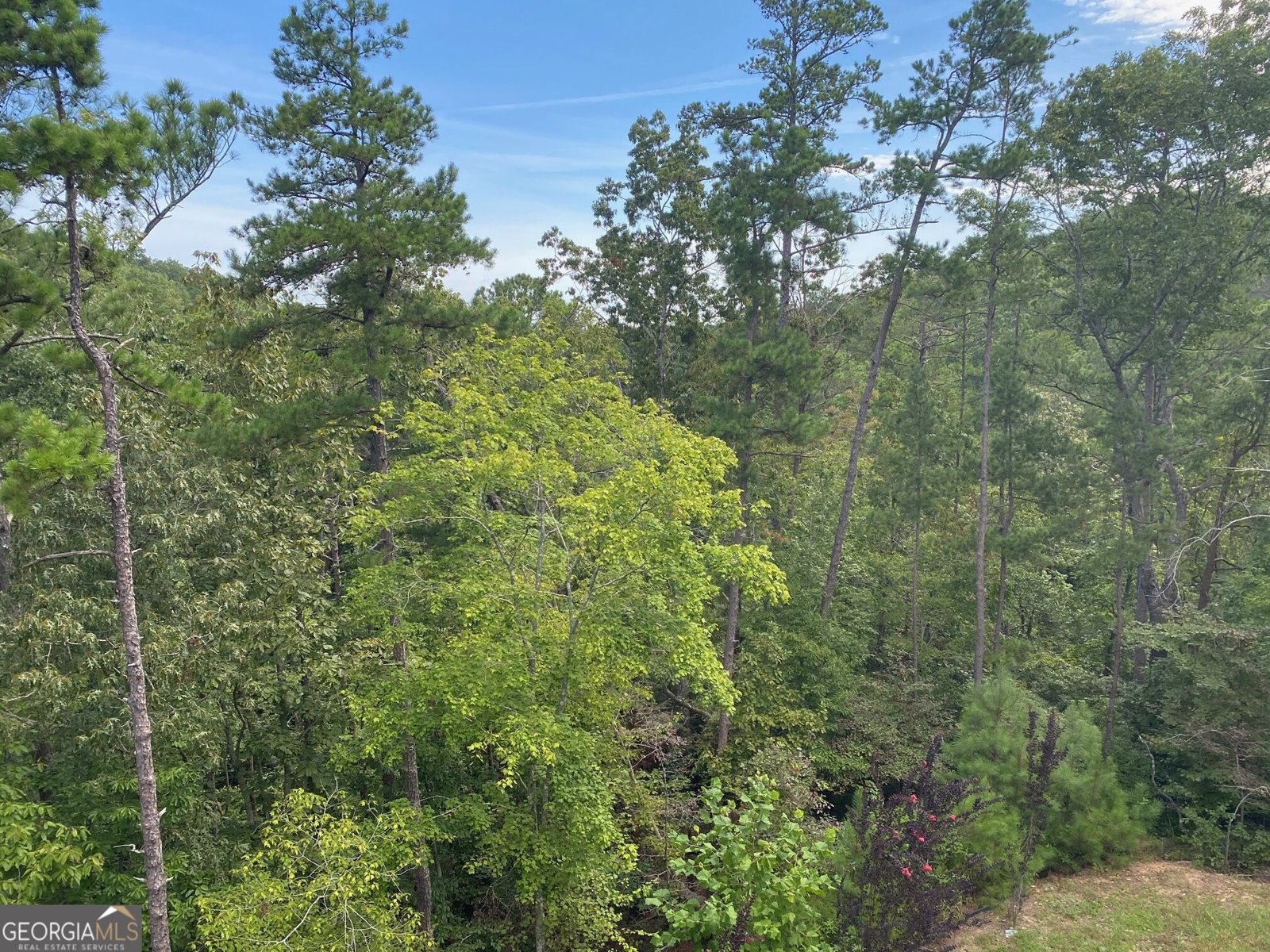 34 Bridgestone Way Cartersville - Photo 40