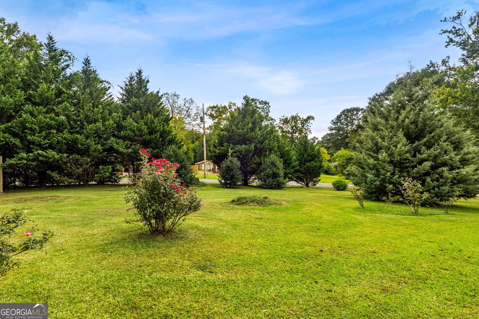 134 Ellen Hand Circle Cedartown - Photo 47