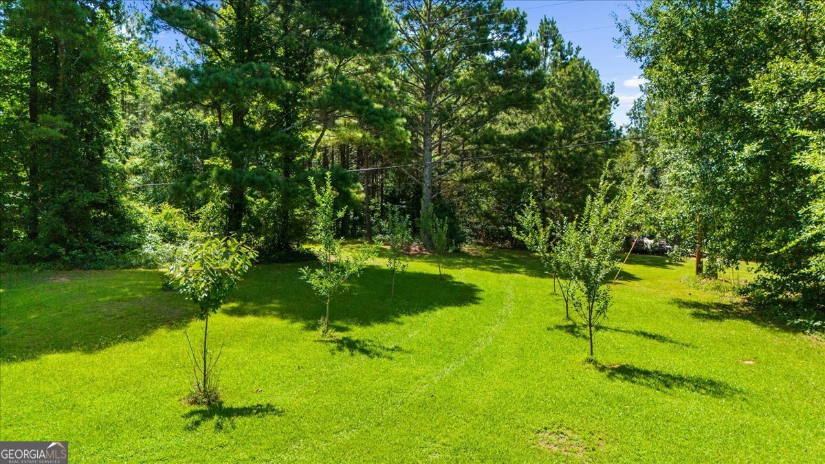 162 Deer Creek Trail Moreland - Photo 41
