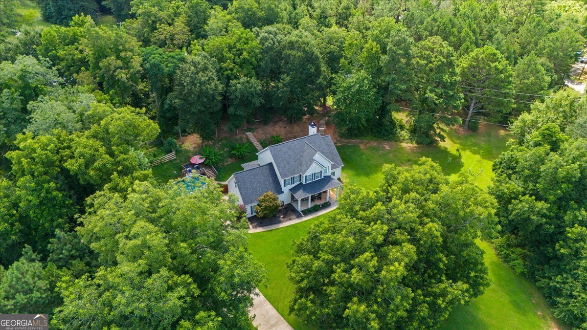 162 Deer Creek Trail Moreland - Photo 45