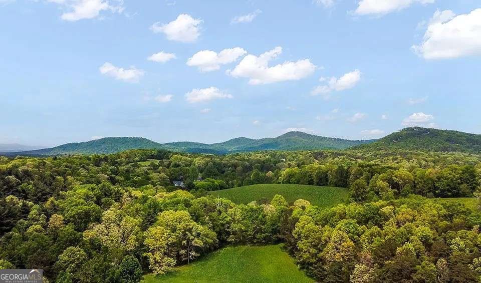 233 Ivy Ridge Ellijay - Photo 26