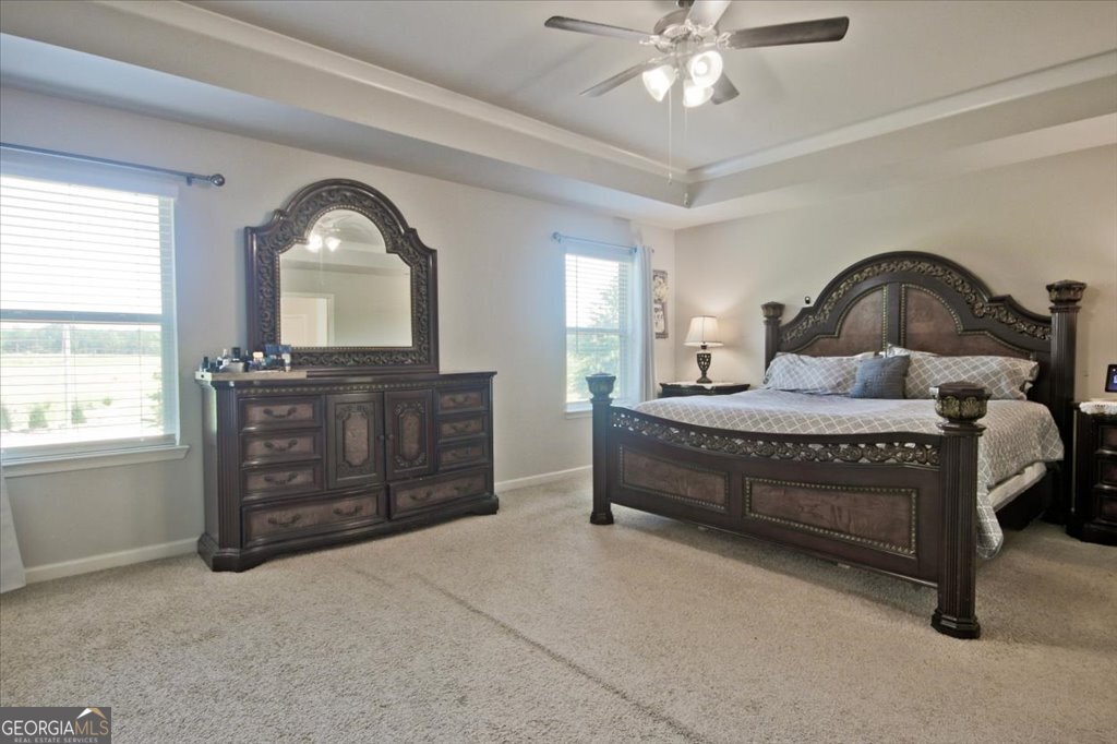 159 Azalea Bloom Drive Loganville - Photo 30