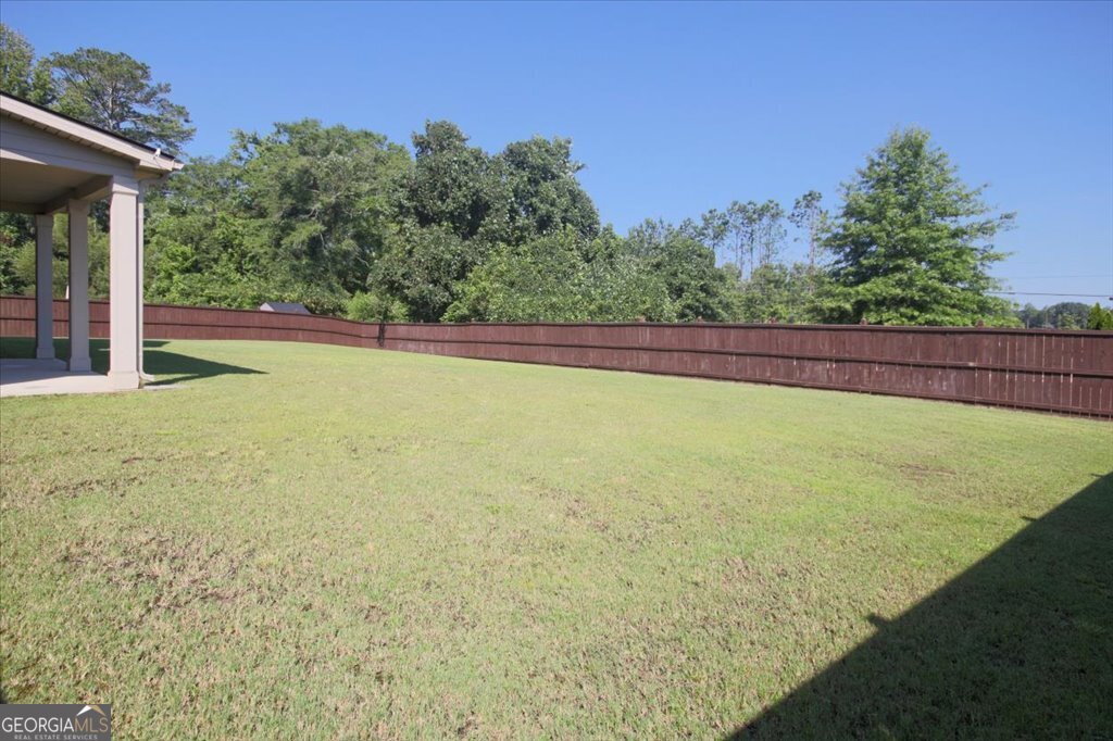 159 Azalea Bloom Drive Loganville - Photo 51
