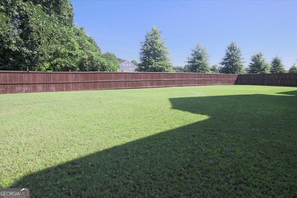 159 Azalea Bloom Drive Loganville - Photo 52
