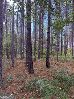 645 Bent Knee Road Keysville - Photo 30