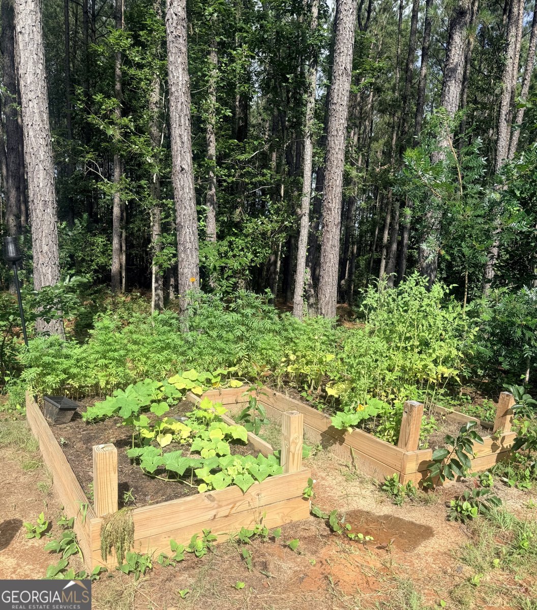 645 Bent Knee Road Keysville - Photo 32