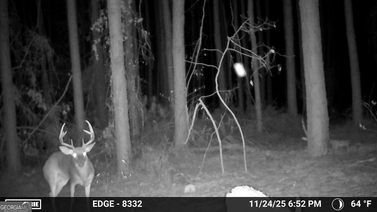 645 Bent Knee Road Keysville - Photo 33