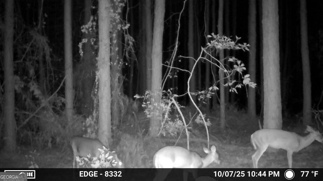 645 Bent Knee Road Keysville - Photo 34