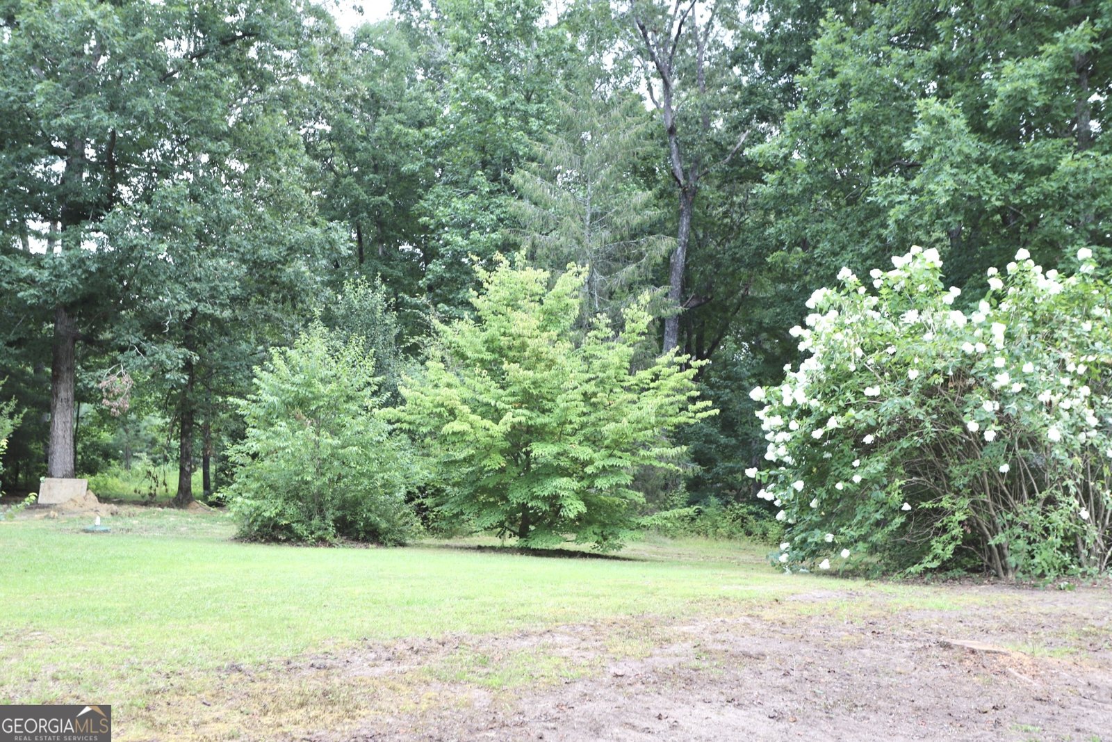 2722 ALABAMA HIGHWAY 117 Mentone - Photo 20