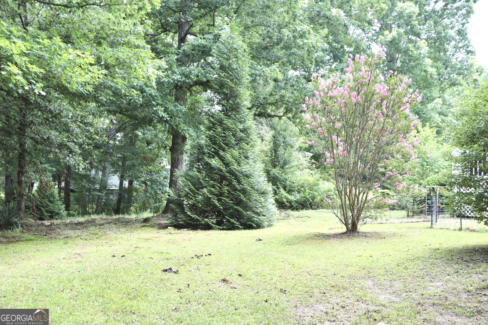 2722 ALABAMA HIGHWAY 117 Mentone - Photo 22