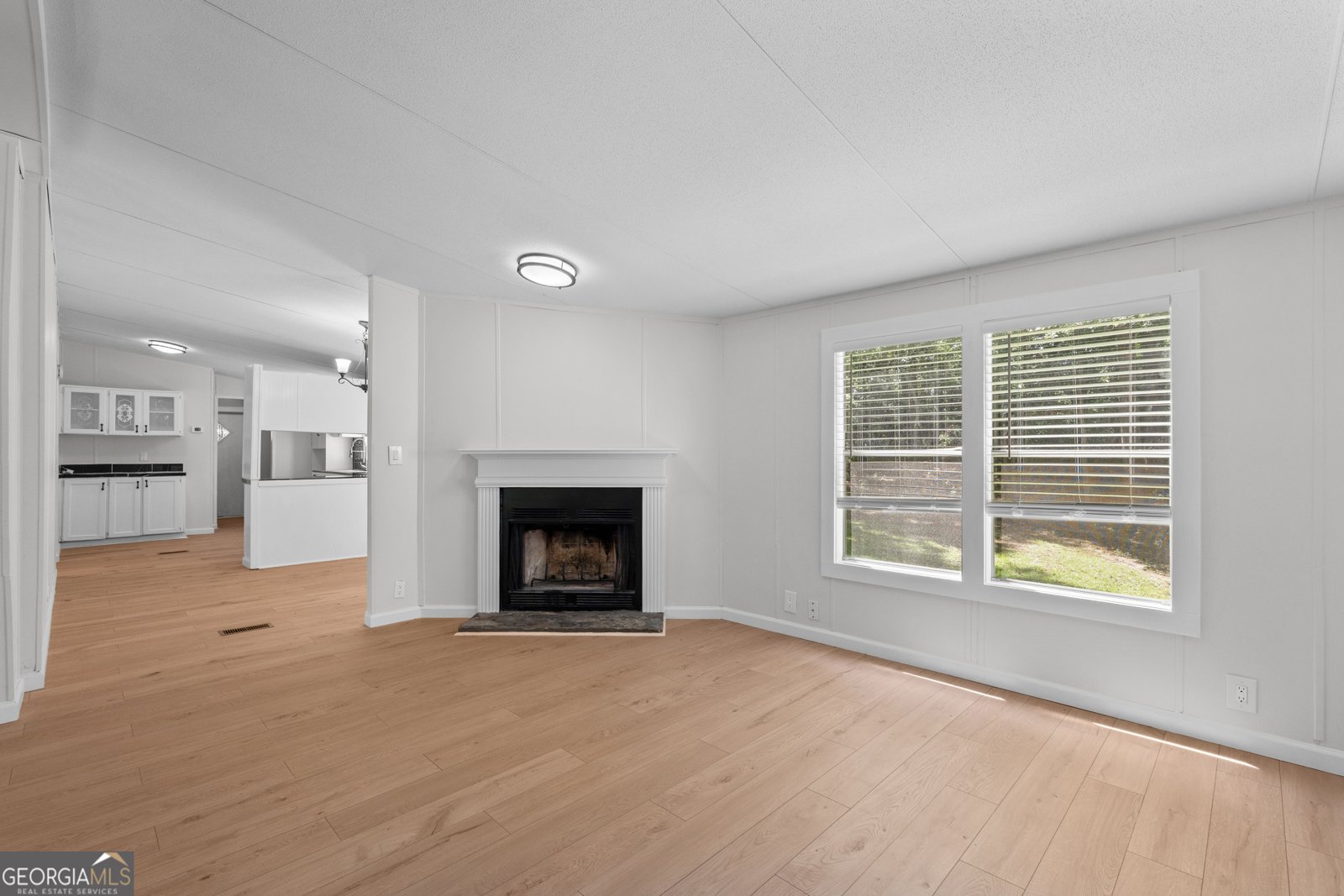 255 Ben Perkins Drive Bowdon - Photo 9