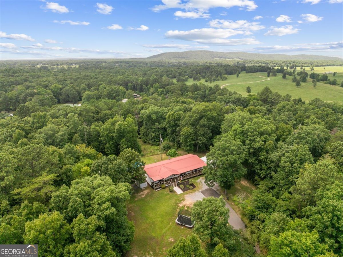 237 Poplar Drive Chatsworth - Photo 35