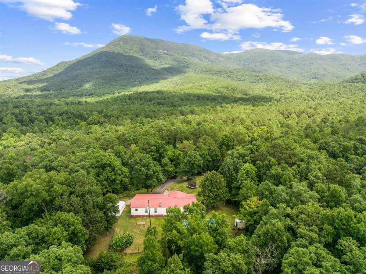 237 Poplar Drive Chatsworth - Photo 39