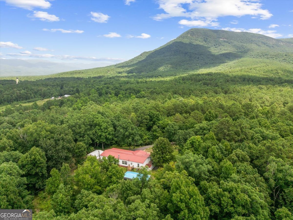 237 Poplar Drive Chatsworth - Photo 40