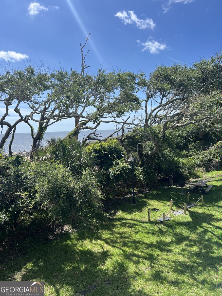 1175 Beachview Drive Jekyll Island - Photo 17