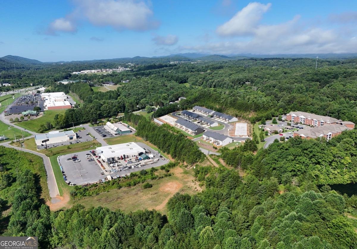 25 Grove Loop Blue Ridge - Photo 37