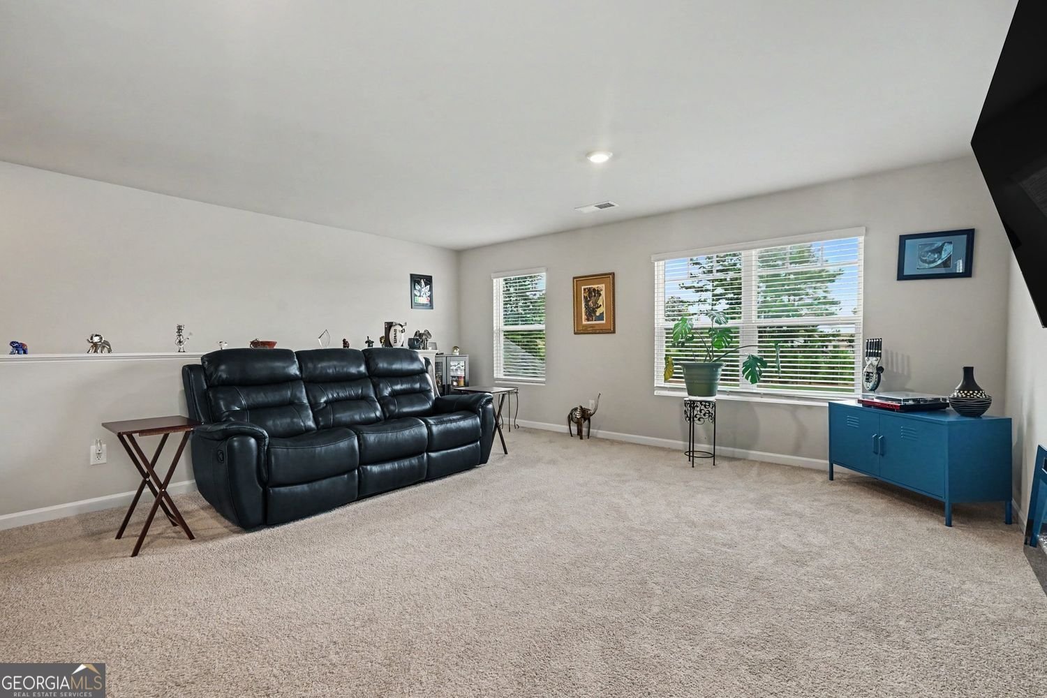 351 Pepin Court Hoschton - Photo 21
