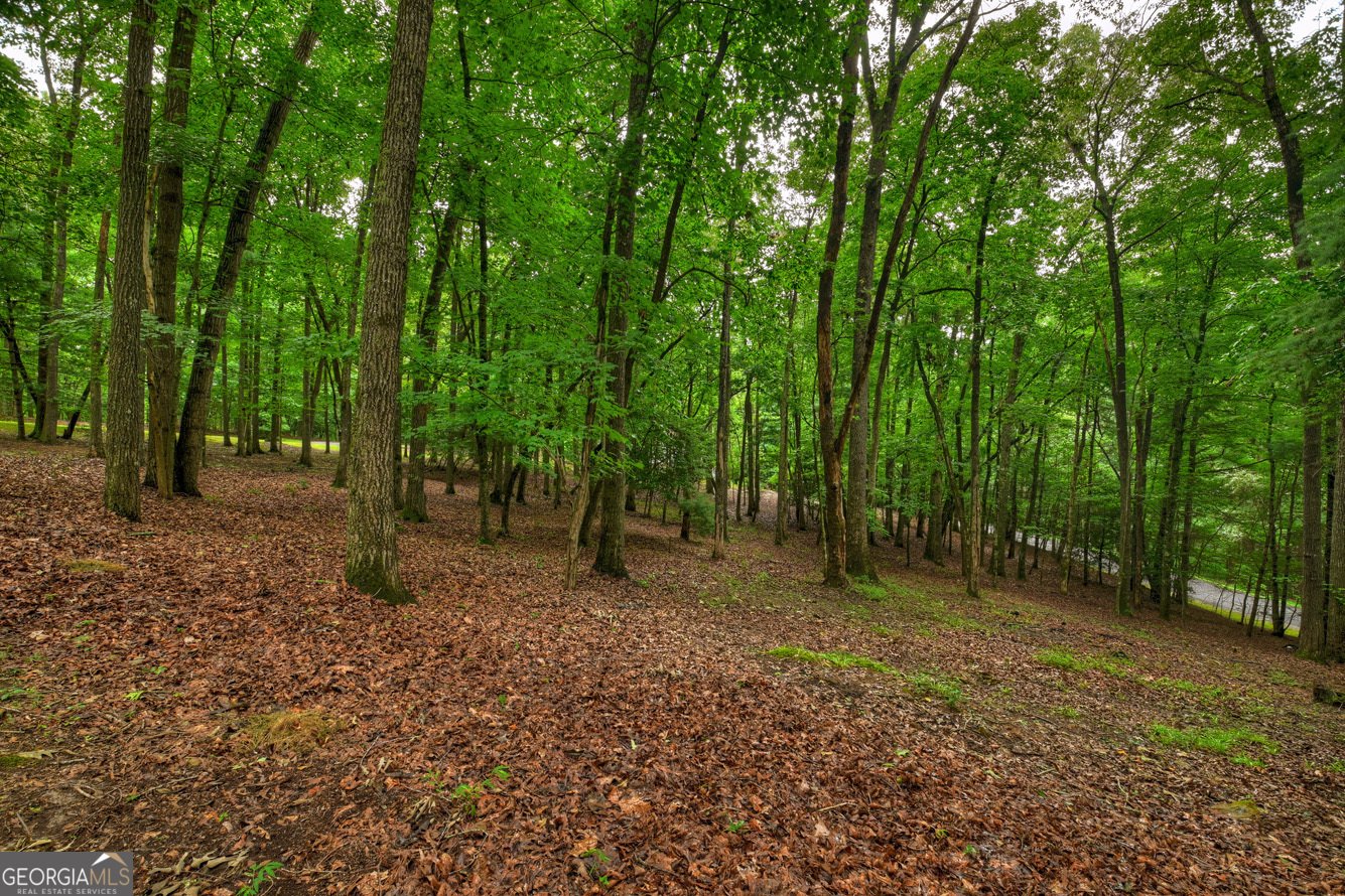 101 W D Court Ellijay - Photo 51