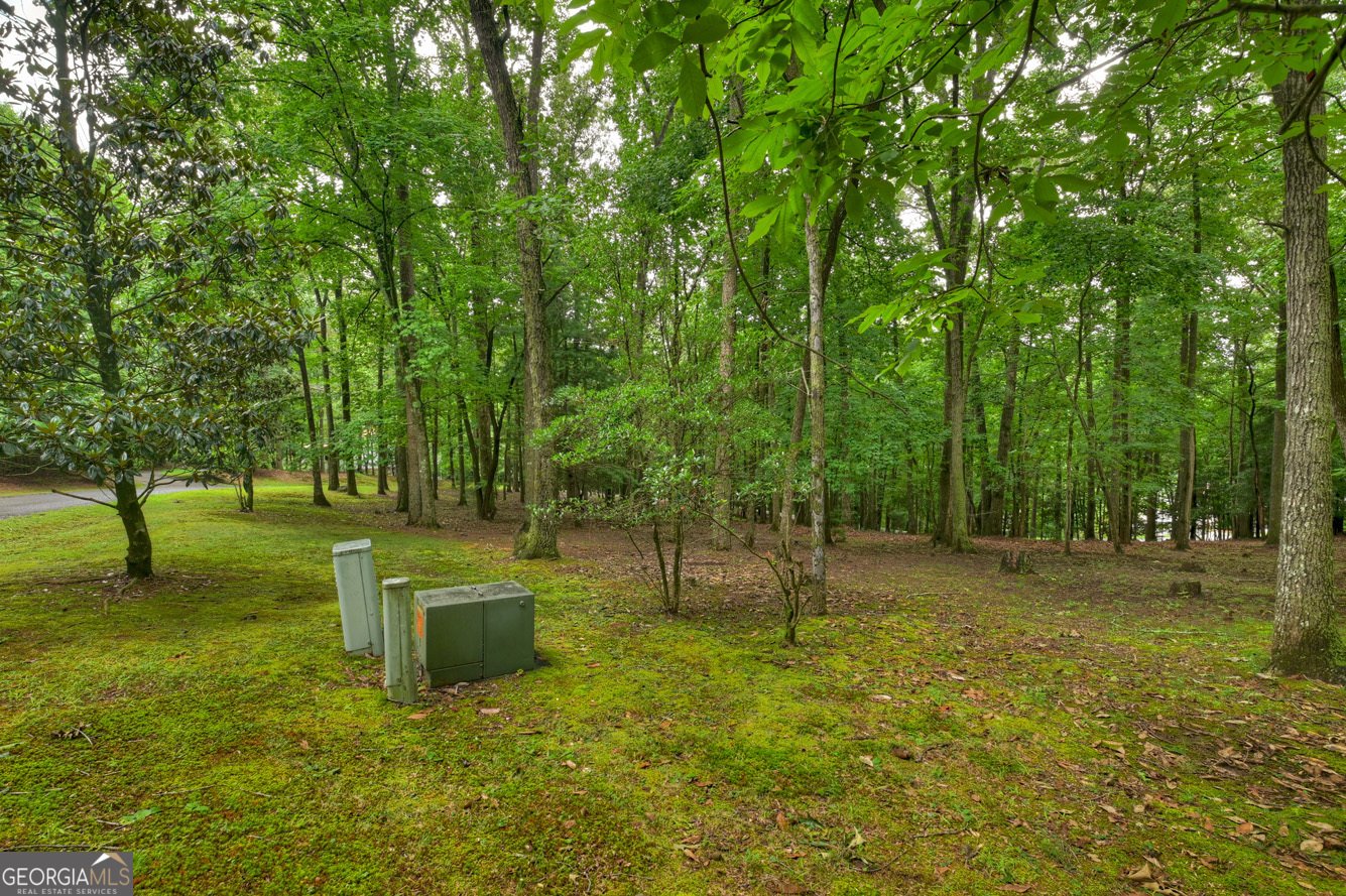 101 W D Court Ellijay - Photo 53