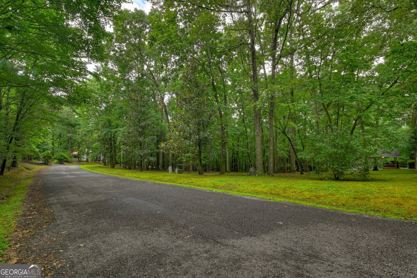 101 W D Court Ellijay - Photo 54