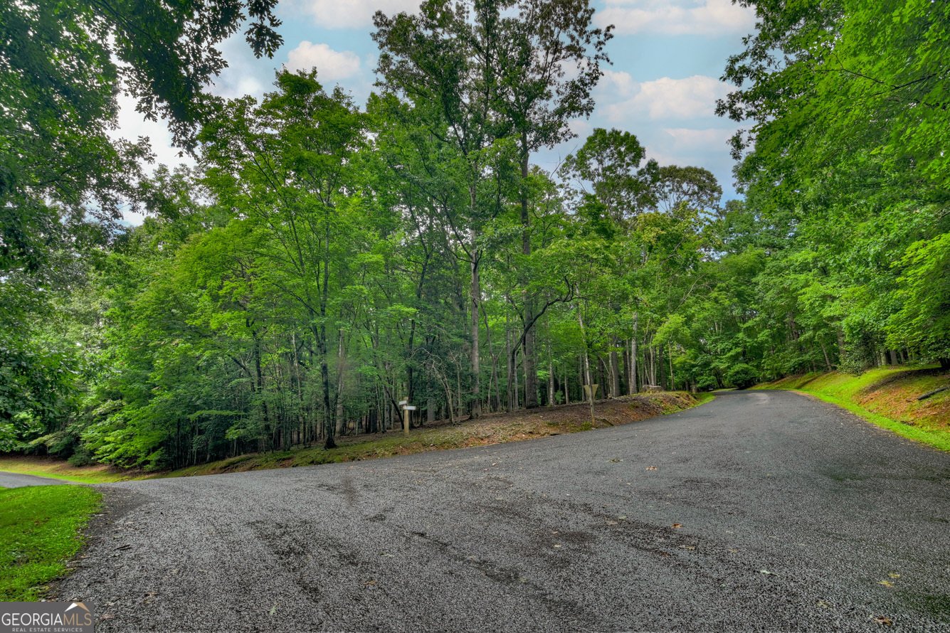 101 W D Court Ellijay - Photo 55