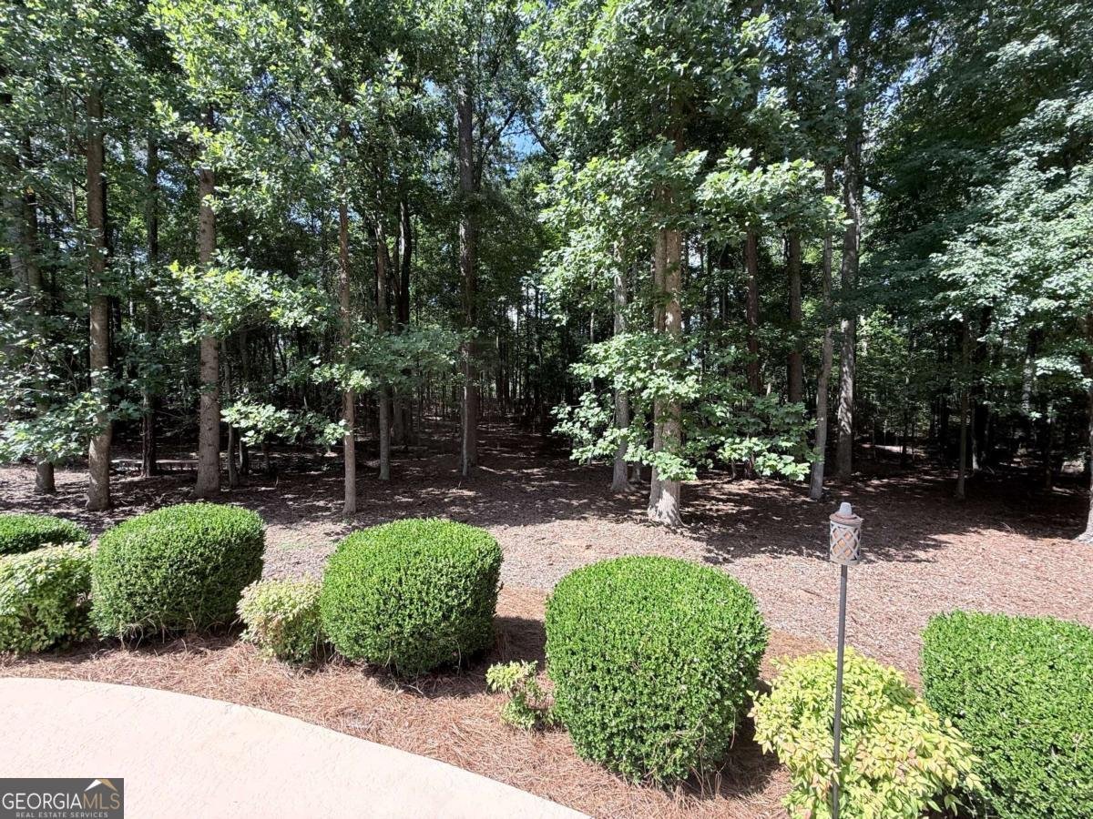 3700 Millstream Lane Stockbridge - Photo 58