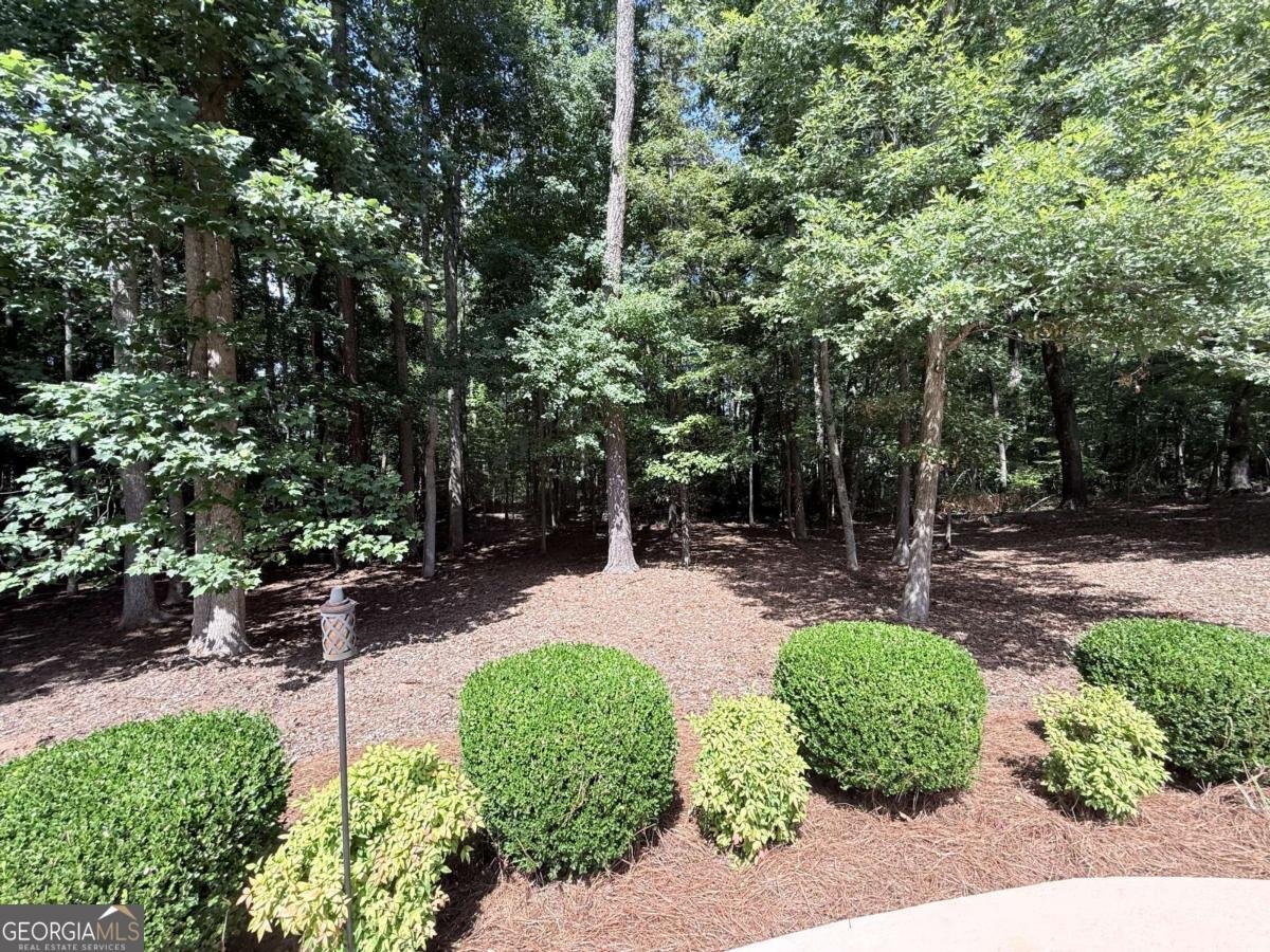 3700 Millstream Lane Stockbridge - Photo 59